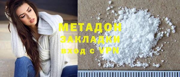 прущие грибы Мегион